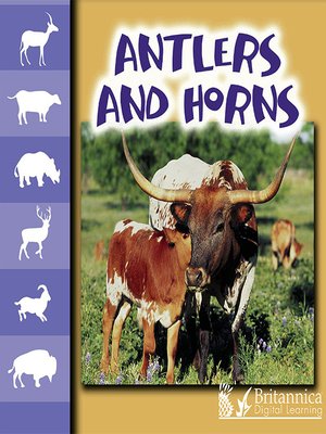 cover image of Antlers and Horns